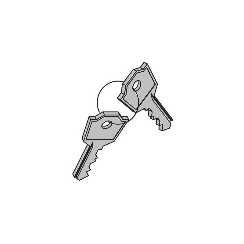 ART. 690407 - Coppia chiavi serratura cifrate per Nupi 66