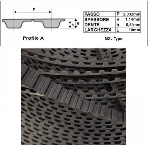 ART. 610203 - Cinghia dentata tipo MXL - Prezzo al metro