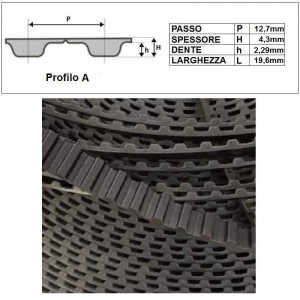 ART. 610202 - Cinghia dentata tipo H - Prezzo al metro